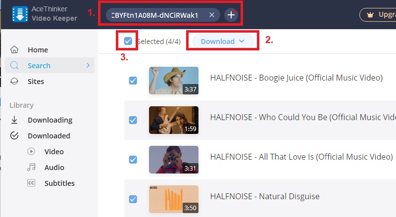 download youtube playlist vk step2