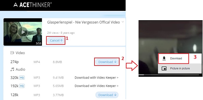 download blocked youtube video ovd step3