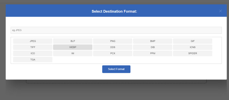 Choose WebP
